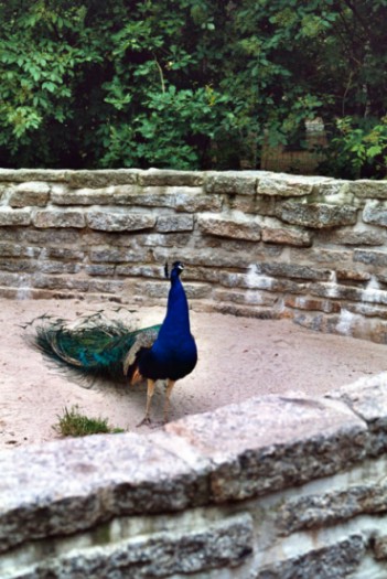 Tierpark Chemnitz